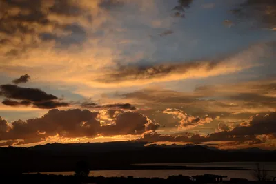 DSC_3316 (Large).JPG